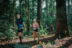 BIB: 
                            <button type="button" onclick="openModal(26129876)" class="btn btn-primary btn-sm float-right btn-popup" data-toggle="modal" data-target=".modal-high-quality">
                        <i class="fas fa-shopping-cart"></i> Add to Cart
                    </button>
                                            <button type="button" onclick="isThisMe(26129876, true)" class="btn btn-success btn-sm float-right btn-popup btn-isme hidden" data-toggle="tooltip" data-placement="bottom" title="นี่คือรูปของคุณใช่ไหม คลิกที่นี่เพื่อเอาเข้าอัลบั้ม">
                        <i class="fas fa-plus"></i> Add to album
                    </button>
                    <button type="button" onclick="isThisMe(26129876, false)" class="btn btn-warning btn-sm float-right btn-popup btn-isnotme hidden">
                        <i class="fas fa-ban"></i> Remove from album
                    </button>